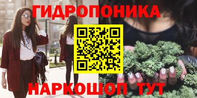 дурь Гай