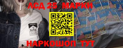 спиды Гатчина