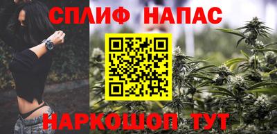 спиды Гатчина