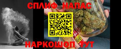 спиды Гатчина