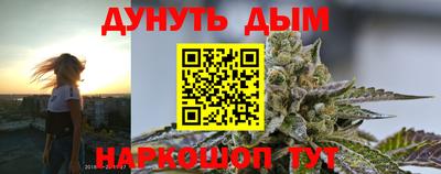 спиды Гатчина