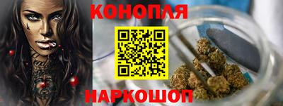 спиды Гатчина