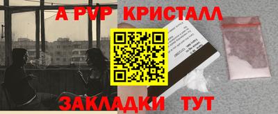 спиды Гатчина