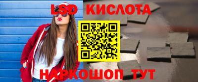 спиды Гатчина